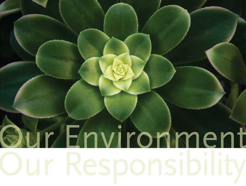 Our Environment Our Responsibility